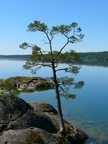 vättern2